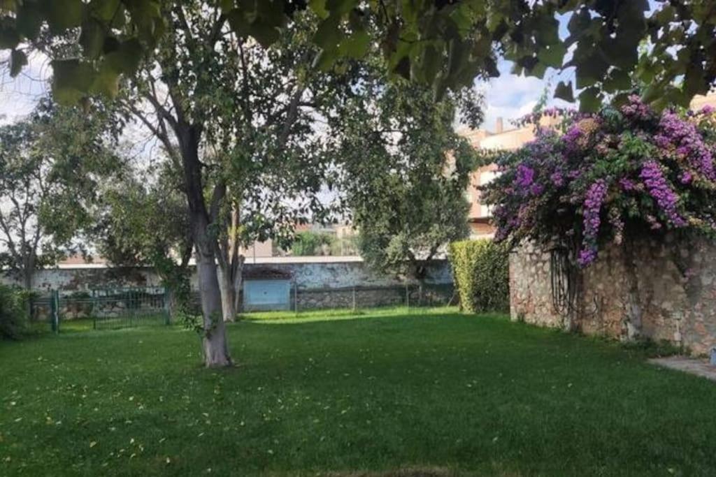 Home Garden Grosseto Exterior foto
